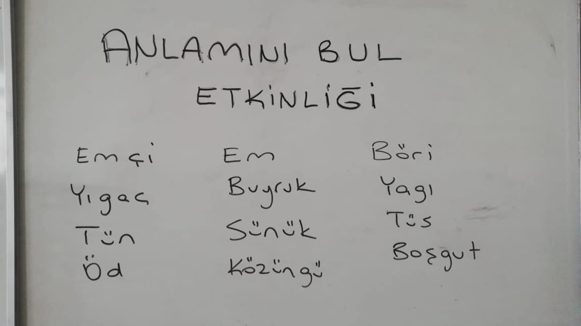 Dilimizin Zenginlikleri Projesi Etkinlikleri